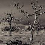 Skeleton Trees Peter Dwyer  Merit