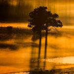 Sunrise Through the Fog by Steve Demeye Scored 12 3rd Place