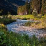 Val di Fassa by Robert Morgan Merit