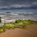 Watch out , here comes the rain by Betty Bibby