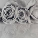 White Roses by Janet Rogerson Merit