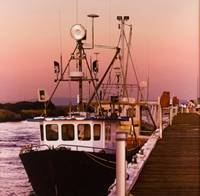 Moored at Sunset (Jenny Leith) 3rd Place