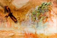 Eagle Spirit ( Kerrie Purcell) Highly Commended