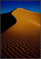 Sand Dune at Temet ( Trevor Kittely ) First Place