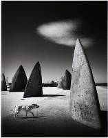 Of Canines & Monoliths (Adrian Donoghue) Merit