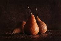 Three Ageing Pears (Janet Rogerson ) Merit